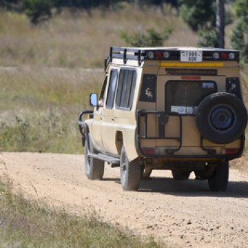 Game Drive in Mikumi NP