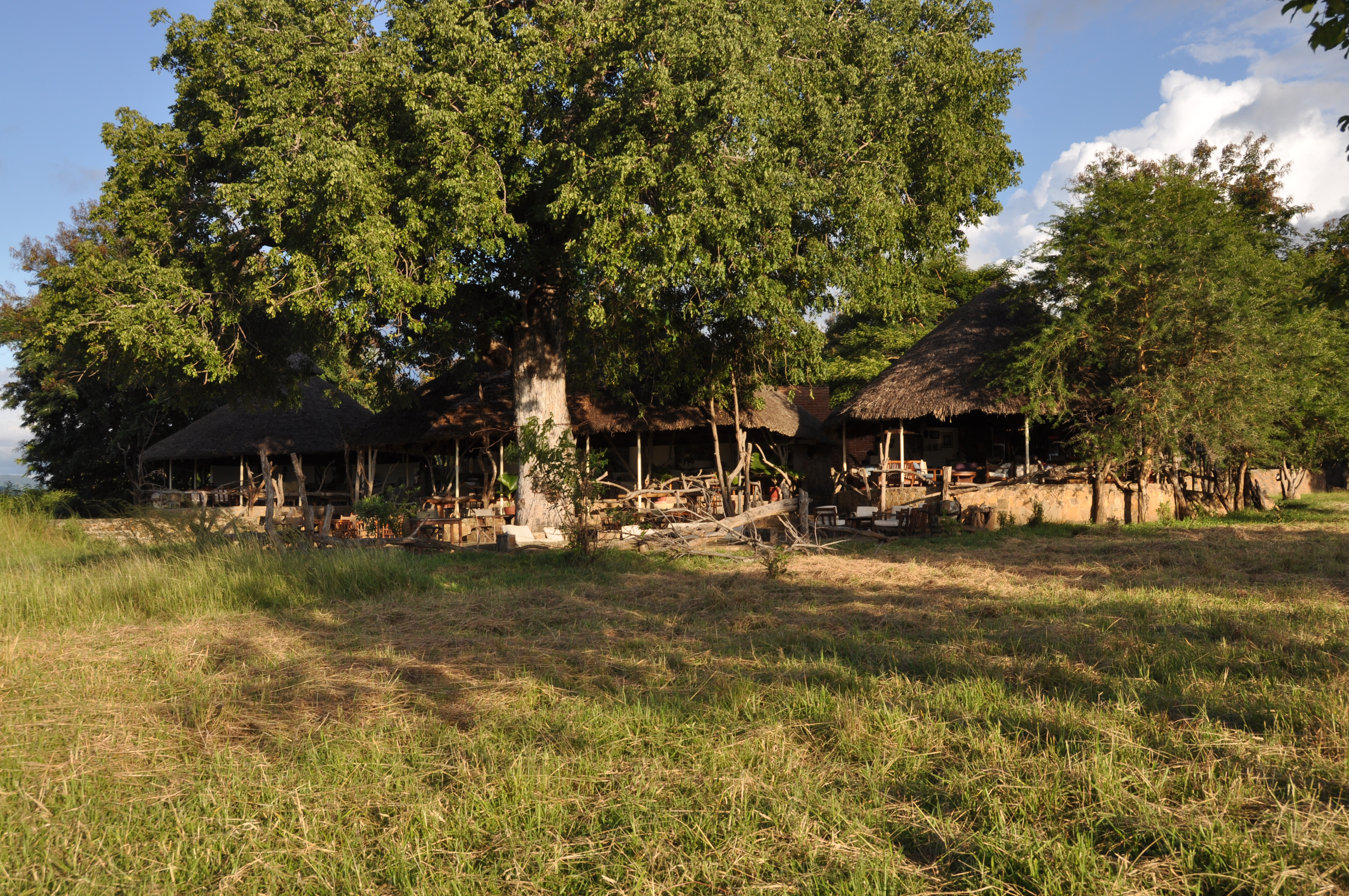 Mikumi NP & Selous Game Reserve 3